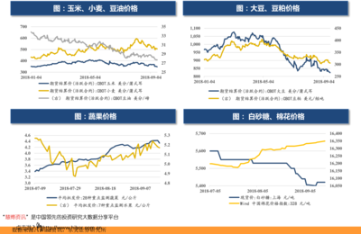 2021年8月新股申购一览与计算机设备租赁行业前瞻